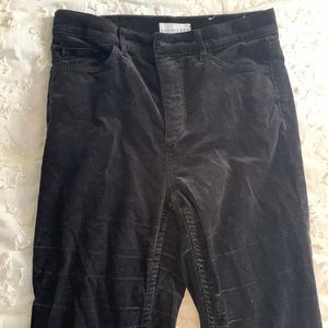 Loft Black Velvet Pants